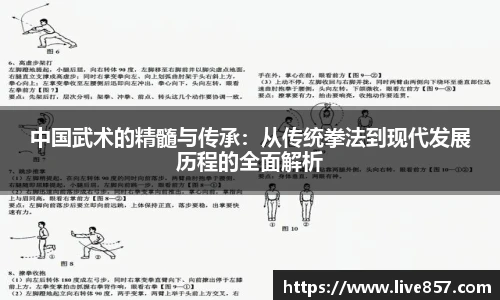 中国武术的精髓与传承：从传统拳法到现代发展历程的全面解析