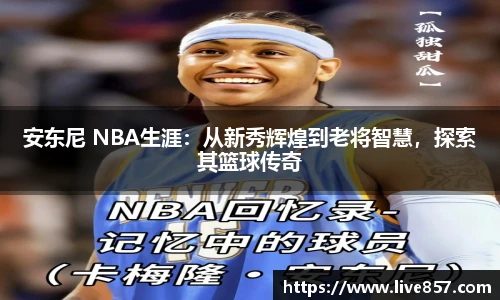 安东尼 NBA生涯：从新秀辉煌到老将智慧，探索其篮球传奇