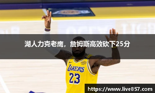 湖人力克老鹰，詹姆斯高效砍下25分